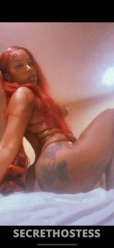 Dream 23Yrs Old Escort Los Angeles CA Image - 1