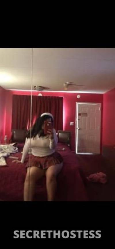 Dream 24Yrs Old Escort Bronx NY Image - 8