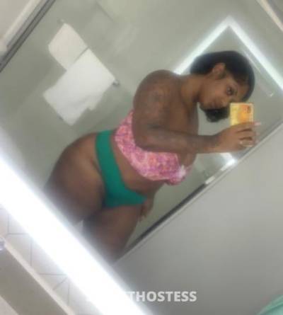 MOCHA 29Yrs Old Escort Indianapolis IN Image - 5