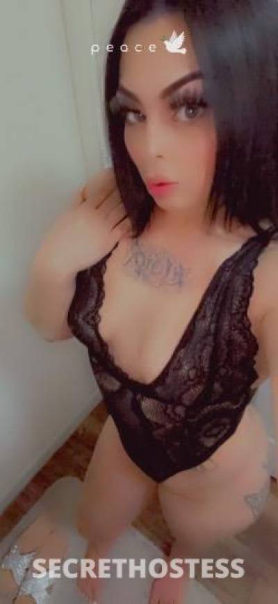 Veronica 25Yrs Old Escort Fresno CA Image - 6