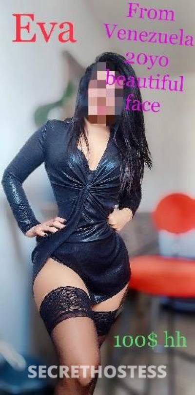 21 year old Latino Escort in Toronto the dolly's house