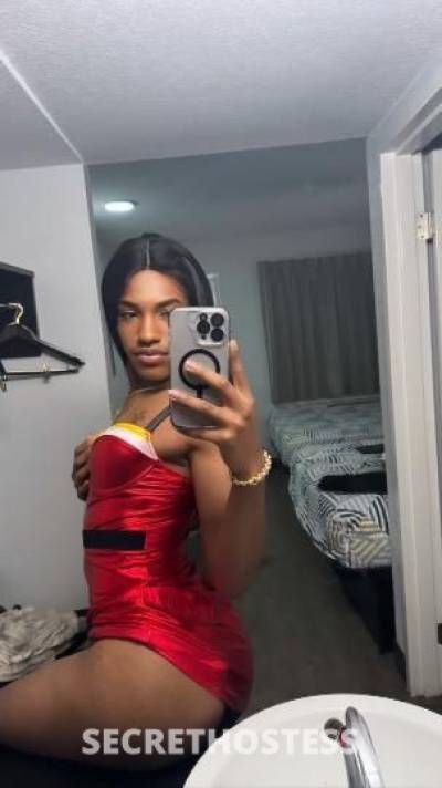 New trans girl in West Palm Beach FL