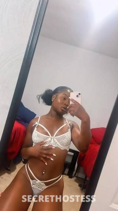 24Yrs Old Escort Orlando FL Image - 1