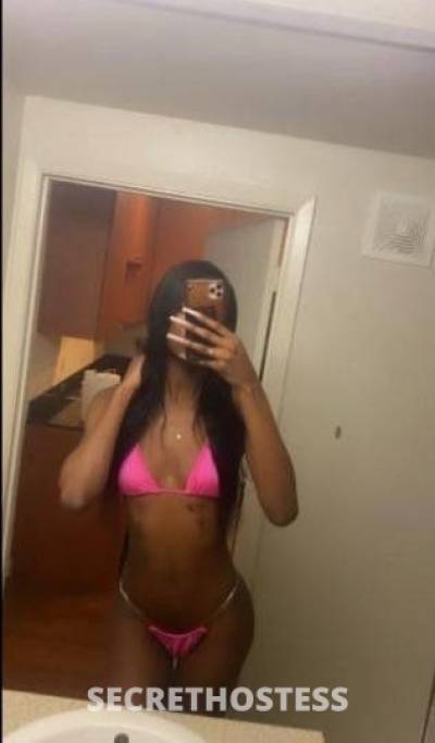 25Yrs Old Escort 172CM Tall Washington D.C. DC Image - 1