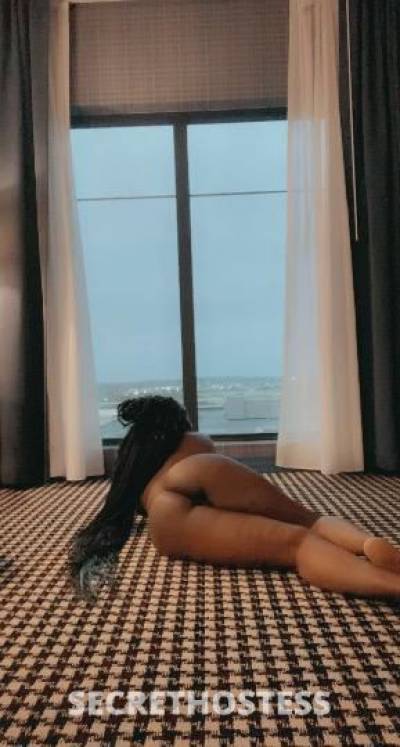 26Yrs Old Escort Tampa FL Image - 1