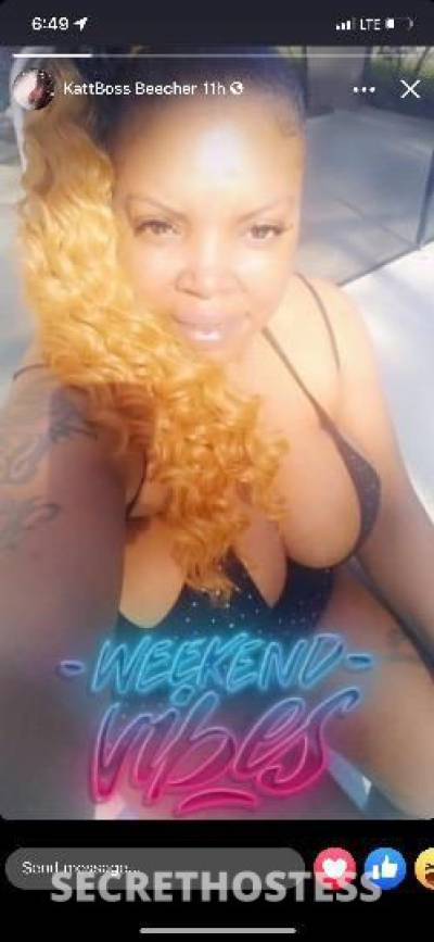 27Yrs Old Escort Tampa FL Image - 1