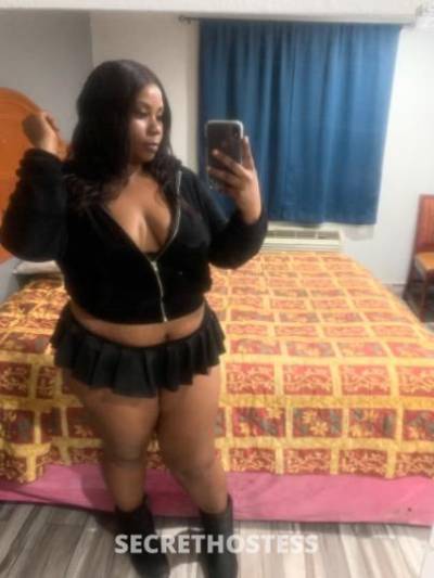 29Yrs Old Escort Los Angeles CA Image - 0