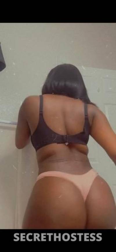 Alicia 24Yrs Old Escort Miami FL Image - 1