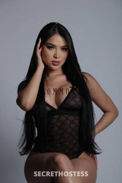 BeatrizRangel 23Yrs Old Escort Liverpool Image - 0