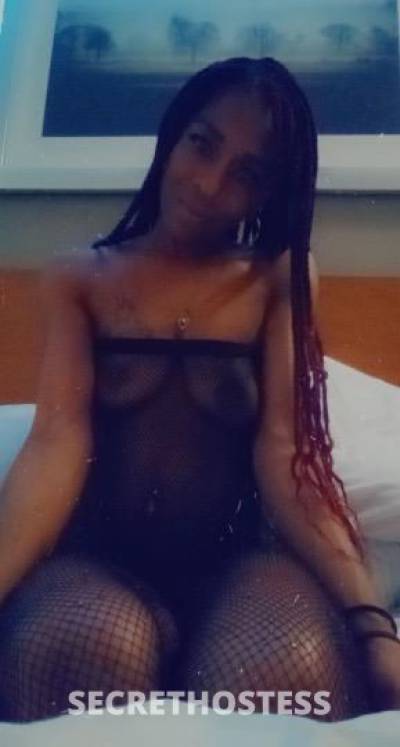 Candy 26Yrs Old Escort Denver CO Image - 3