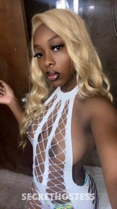 Cinnamon👑 23Yrs Old Escort Fredericksburg VA Image - 11