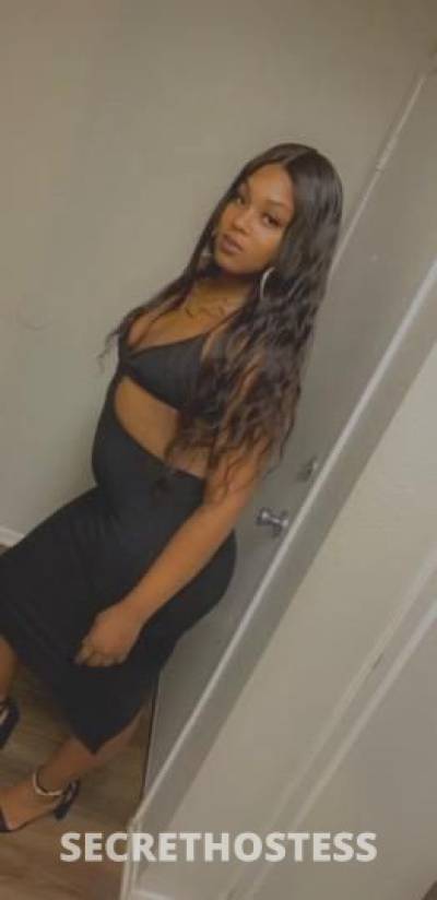 Coco 24Yrs Old Escort Houston TX Image - 4