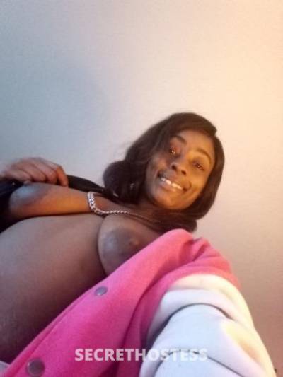 DominicanBarbie 25Yrs Old Escort Gainesville FL Image - 5