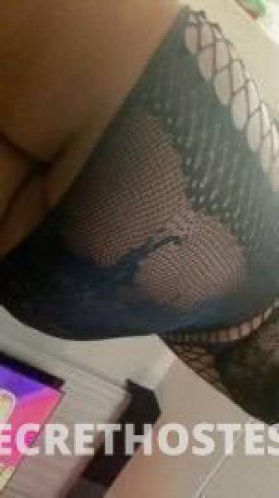 Jasmine 23Yrs Old Escort Tucson AZ Image - 5