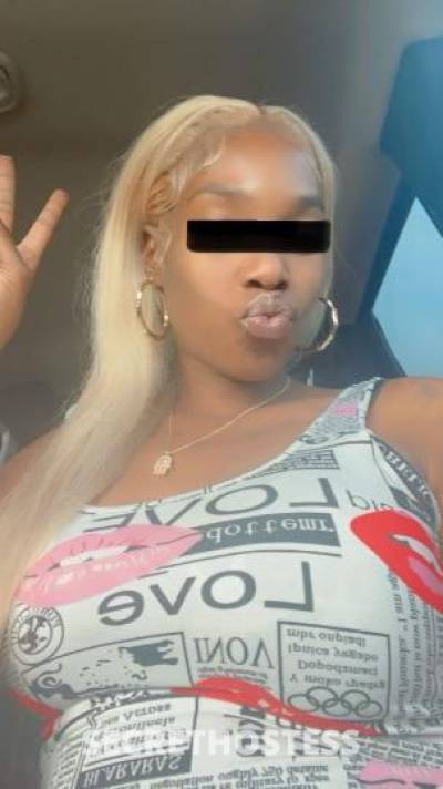 Jaybaee 28Yrs Old Escort Bradenton FL Image - 0