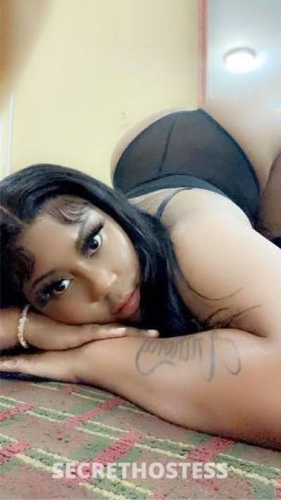 Kandy 23Yrs Old Escort Miami FL Image - 5