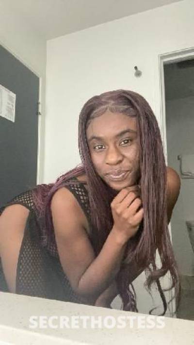 MsBchocolate 22Yrs Old Escort Chattanooga TN Image - 1