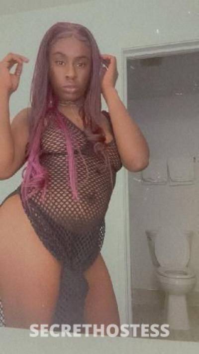 MsBchocolate 22Yrs Old Escort Chattanooga TN Image - 6