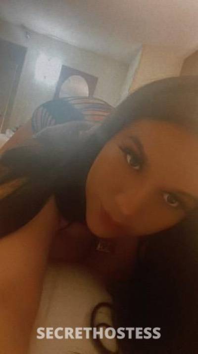 Nikki 27Yrs Old Escort San Diego CA Image - 5