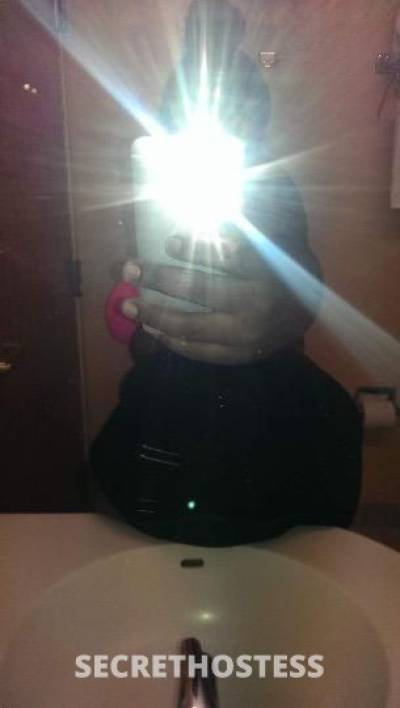 Nikki 32Yrs Old Escort Norfolk VA Image - 2