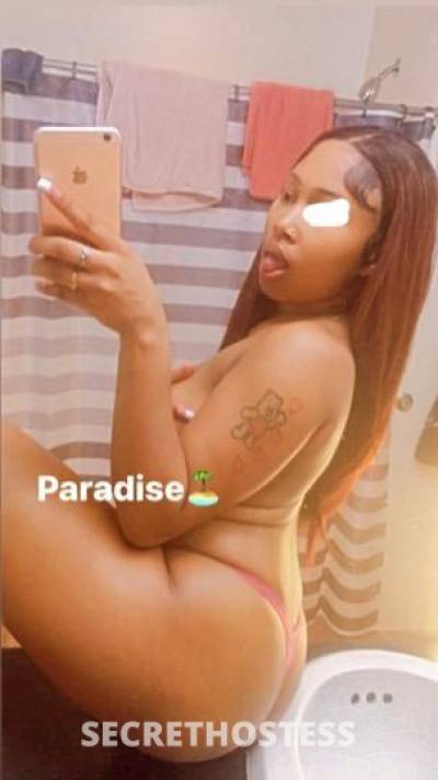 PARADISE🌅 19Yrs Old Escort Denver CO Image - 1