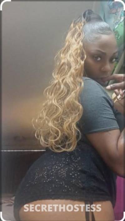 Phoenix 34Yrs Old Escort Baltimore MD Image - 4