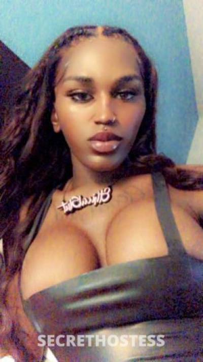 Pinkyy 24Yrs Old Escort Saint Louis MO Image - 0