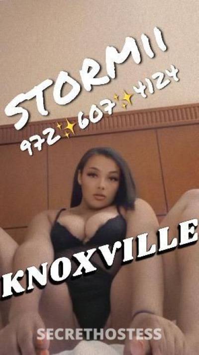 STORMIii 20Yrs Old Escort Knoxville TN Image - 1