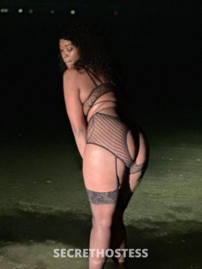 Sapphire 27Yrs Old Escort Tampa FL Image - 4