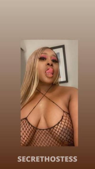 TiaMonroe,Outcalls,Incalls 27Yrs Old Escort Tampa FL Image - 1