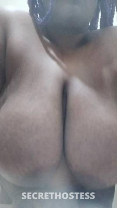 Tiffany 20Yrs Old Escort Ann Arbor MI Image - 4