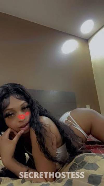 Tkashh 20Yrs Old Escort New Orleans LA Image - 3