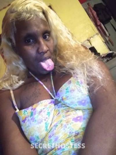 Trina 30Yrs Old Escort Treasure Coast FL Image - 0