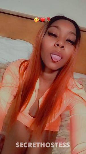 Gorgeous 22Yrs Old Escort San Jose CA Image - 0
