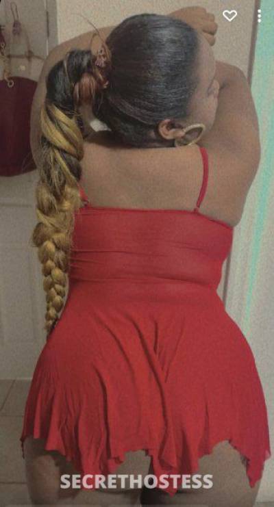 21 Year Old Hispanic Escort Tampa FL - Image 3