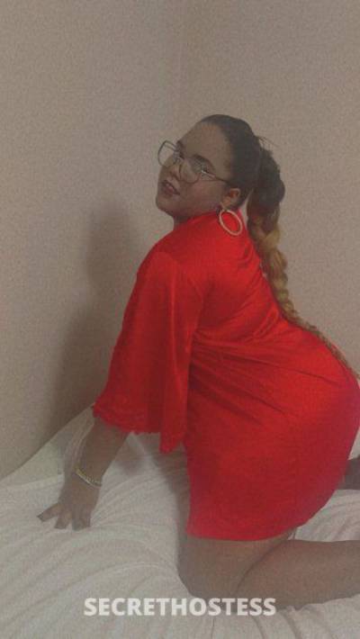 21 Year Old Hispanic Escort Tampa FL - Image 5