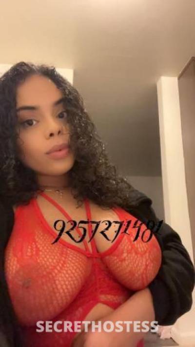 24Yrs Old Escort North Bay CA Image - 6