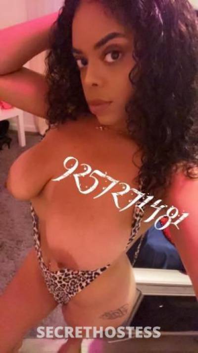 24Yrs Old Escort North Bay CA Image - 11