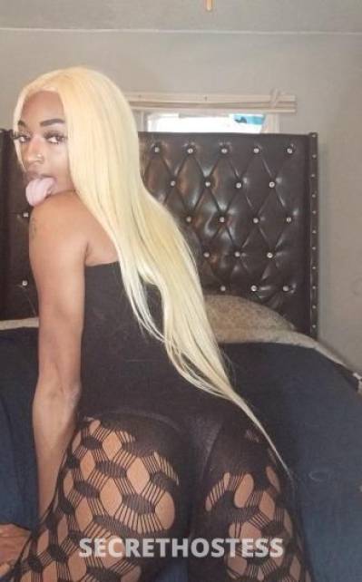 27Yrs Old Escort Memphis TN Image - 3