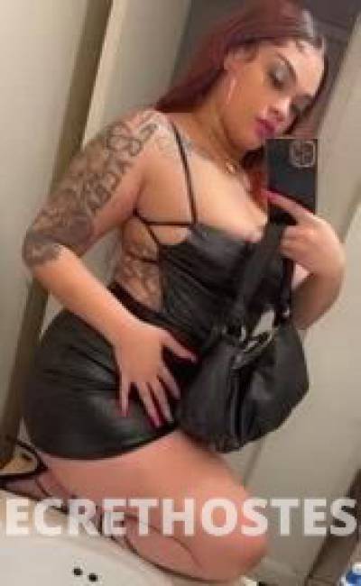 27Yrs Old Escort Long Island NY Image - 3