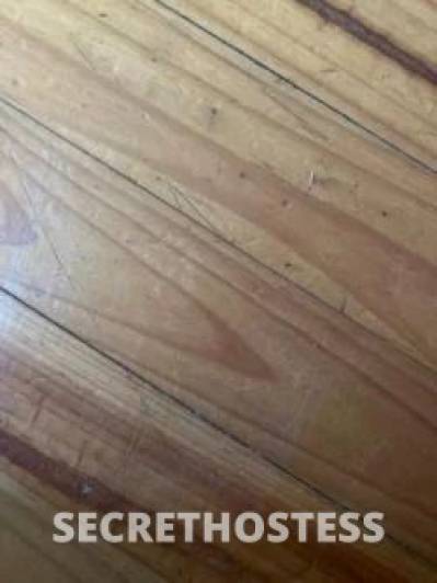 29 year old Escort in Mill Park Melbourne Working girl 29
