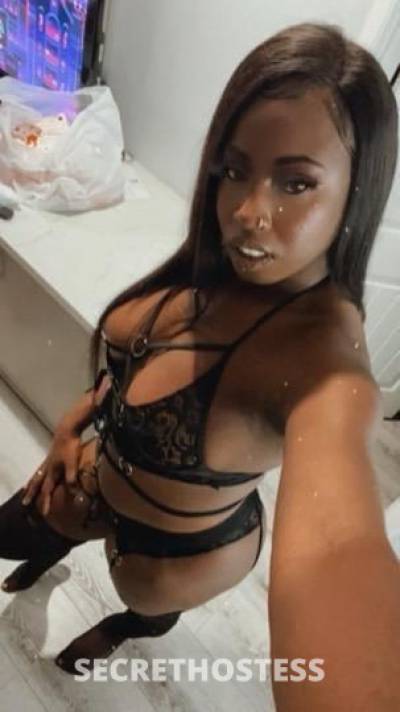 29Yrs Old Escort Oakland CA Image - 3