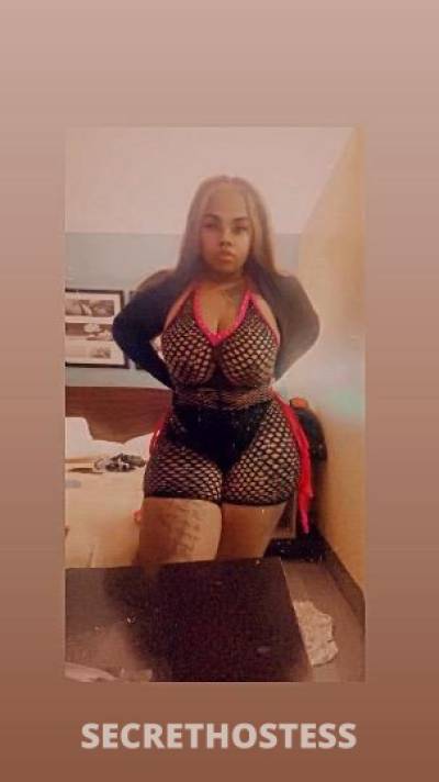 22 Year Old Dominican Escort Fort Lauderdale FL - Image 3