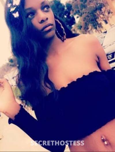 Honey 26Yrs Old Escort Sacramento CA Image - 2
