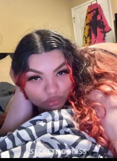 Katrina 27Yrs Old Escort Long Beach CA Image - 3