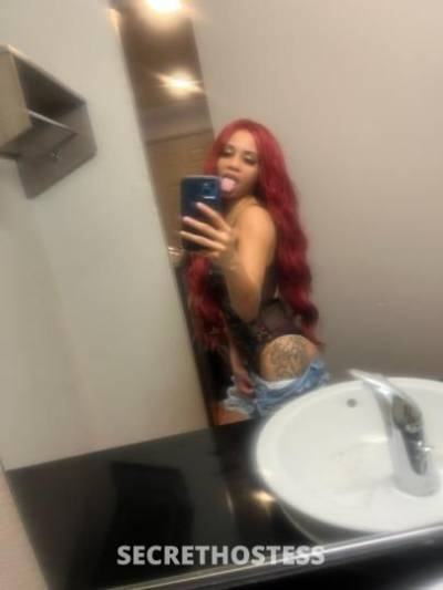 Rose 21Yrs Old Escort Chico CA Image - 6