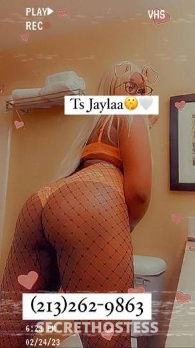 TSJaylaa 24Yrs Old Escort 167CM Tall Redding CA Image - 0