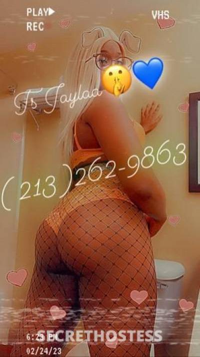 TSJaylaa 24Yrs Old Escort 167CM Tall Redding CA Image - 4