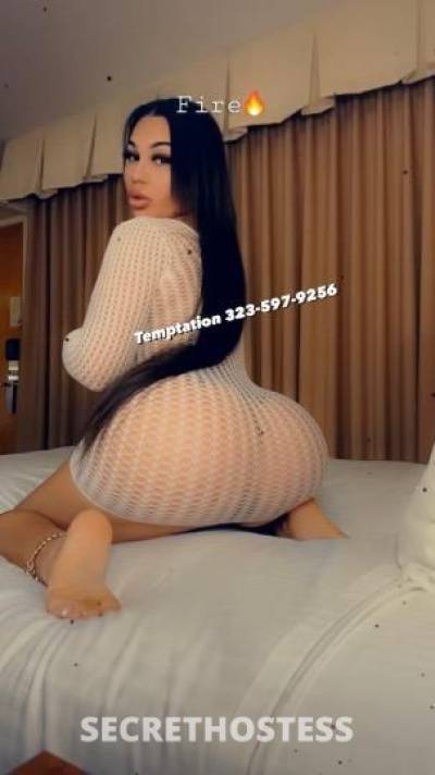 Temptation 28Yrs Old Escort Los Angeles CA Image - 9