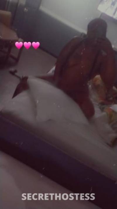 Amber 27Yrs Old Escort Detroit MI Image - 2